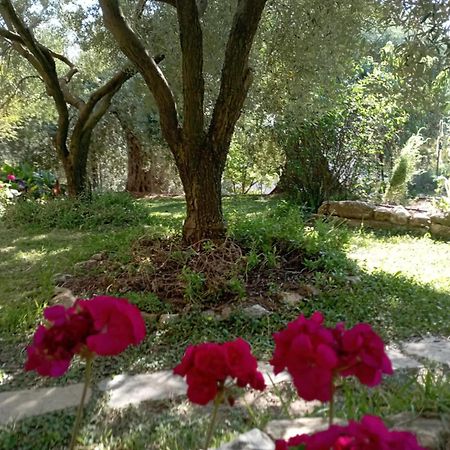 Villa Relax Skala Kallirakhis Bagian luar foto