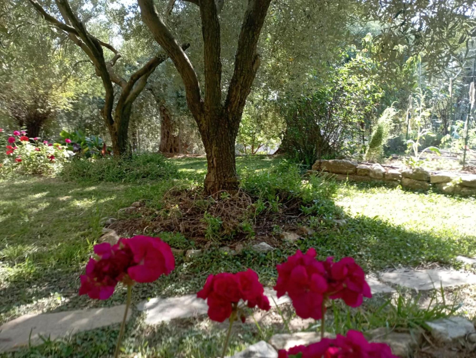 Villa Relax Skala Kallirakhis Bagian luar foto